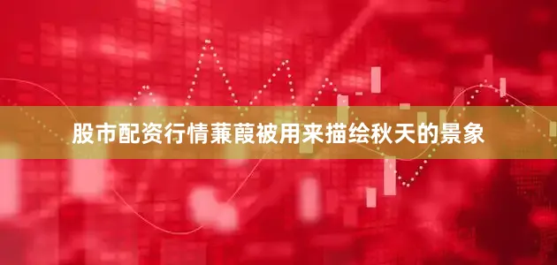 股市配资行情蒹葭被用来描绘秋天的景象