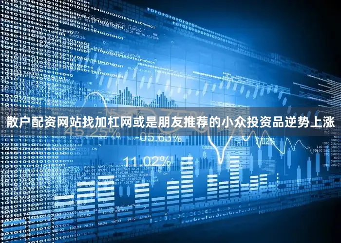 散户配资网站找加杠网或是朋友推荐的小众投资品逆势上涨