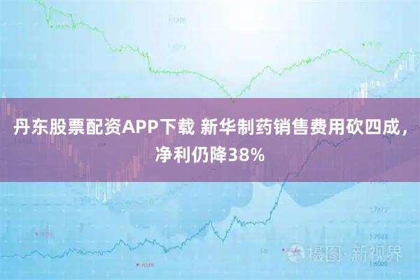 丹东股票配资APP下载 新华制药销售费用砍四成，净利仍降38%