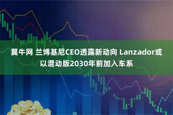 翼牛网 兰博基尼CEO透露新动向 Lanzador或以混动版2030年前加入车系