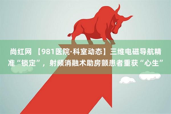 尚红网 【981医院·科室动态】三维电磁导航精准“锁定”,射频消融术助房颤患者重获“心生”