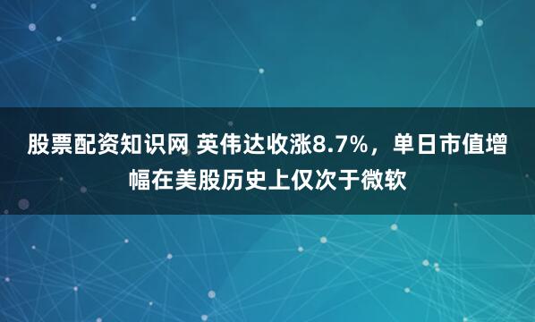 股票配资知识网 英伟达收涨8.7%，单日市值增幅在美股历史上仅次于微软