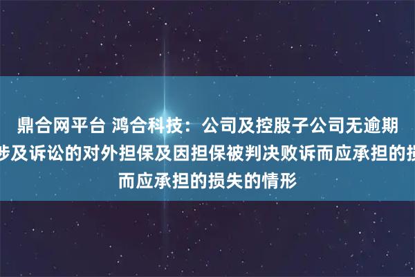 鼎合网平台 鸿合科技：公司及控股子公司无逾期担保、无涉及诉讼的对外担保及因担保被判决败诉而应承担的损失的情形